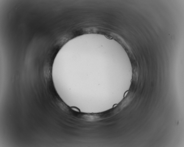 X0000086910477200705141706