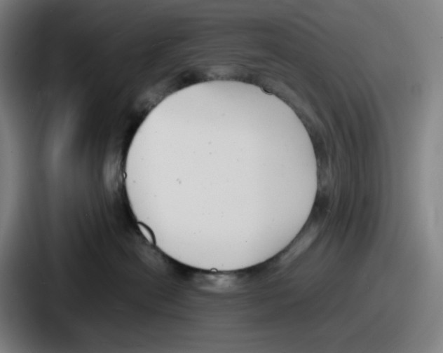 X0000086910478200705141706