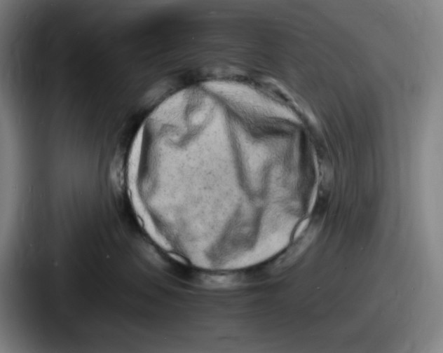 X0000086910479200705141706