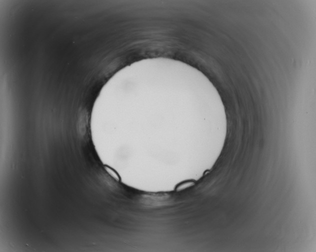 X0000086910480200705141706