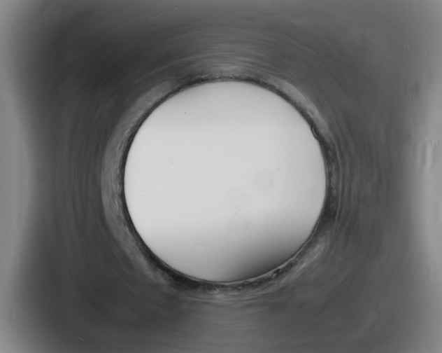 X0000086910481200705141705