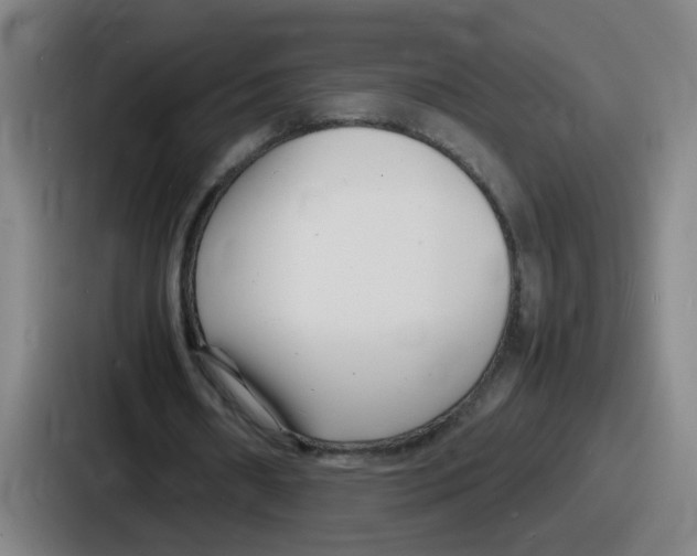 X0000086910482200705141705