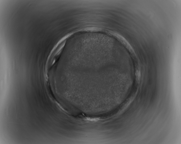 X0000086910484200705141705