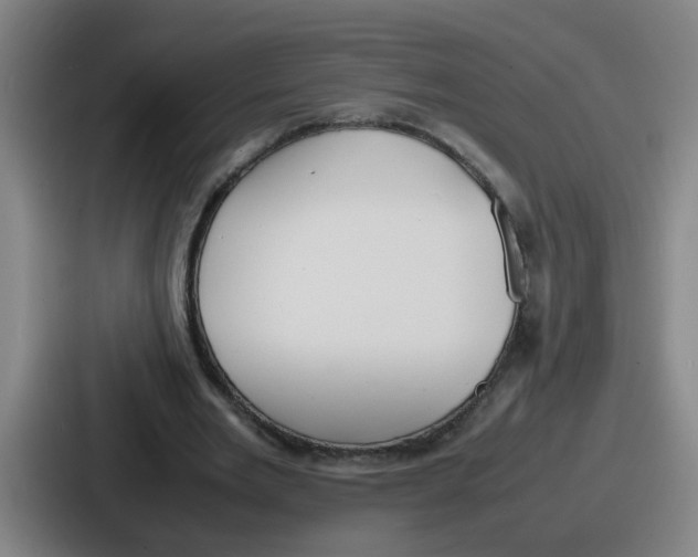 X0000086910485200705141705