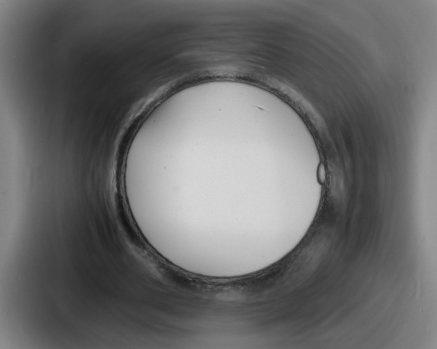 X0000086910486200705141705