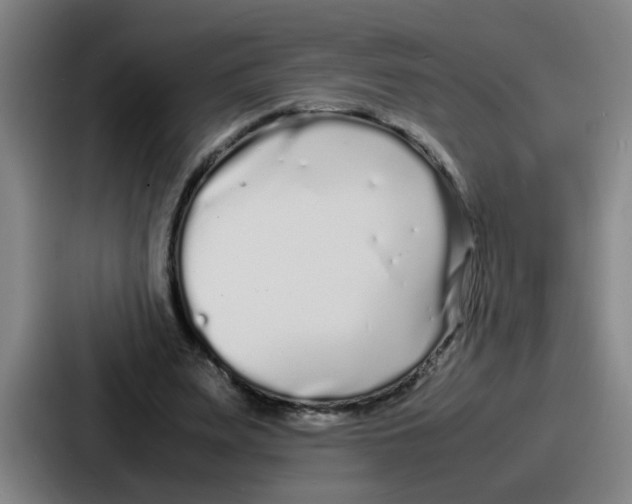 X0000086910487200705141705