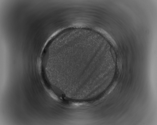 X0000086910488200705141705