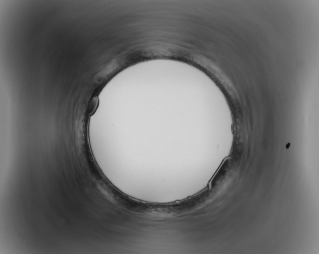 X0000086910489200705141705