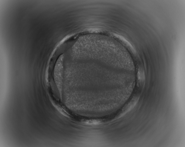 X0000086910492200705141705