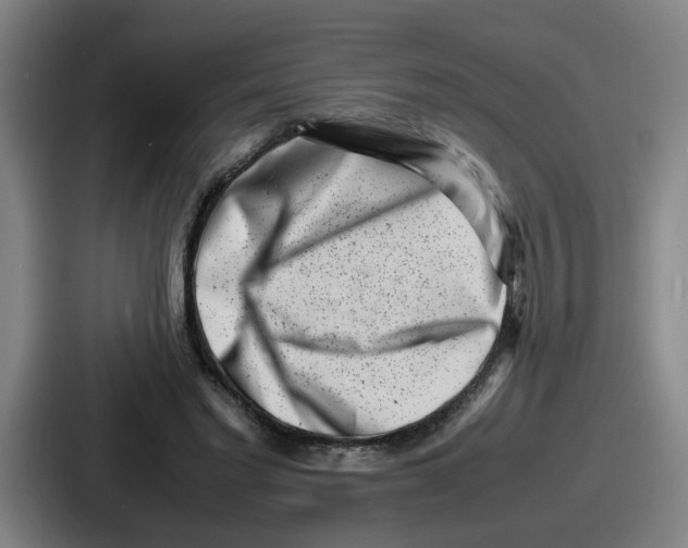 X0000086910493200705141705