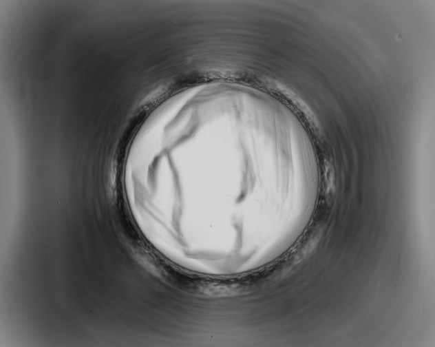 X0000086910494200705141705