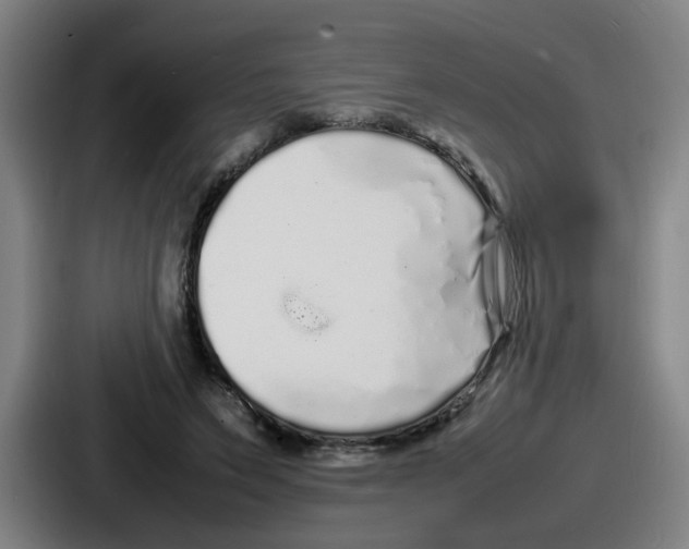 X0000086910495200705141705