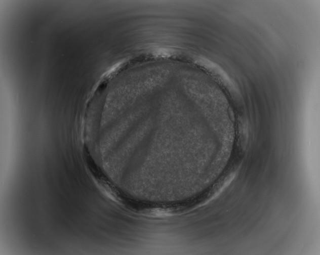 X0000086910496200705141705