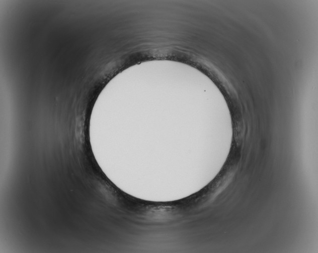 X0000086910497200705141705