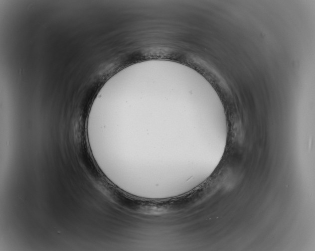 X0000086910498200705141705