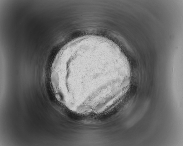 X0000086910499200705141705