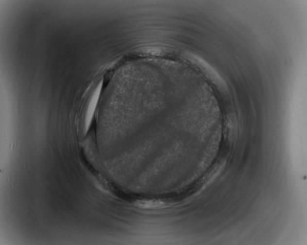 X0000086910500200705141705