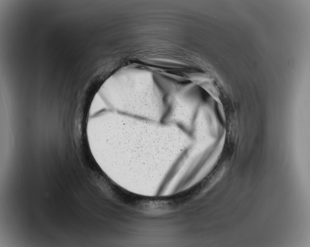 X0000086910501200705141705