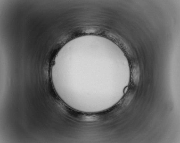 X0000086910510200705141705