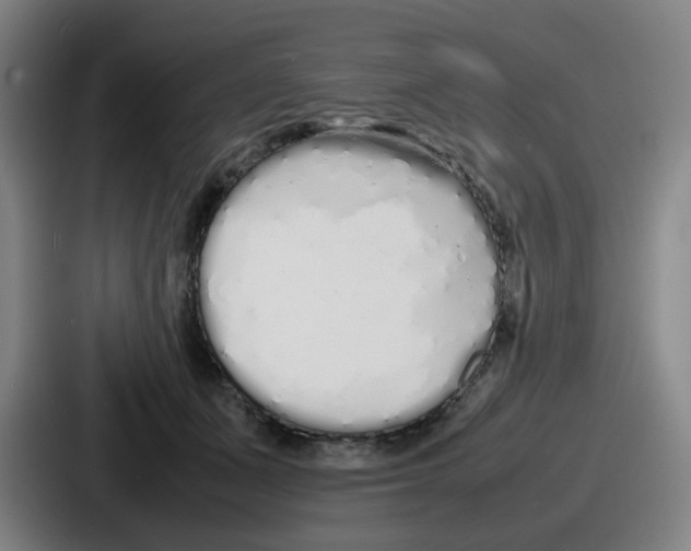 X0000086910511200705141705