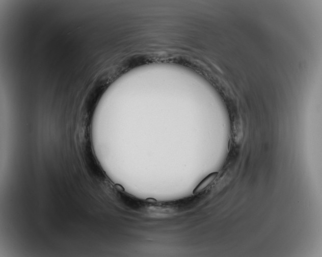 X0000086910515200705141705