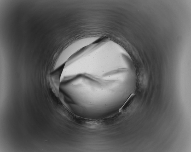 X0000086910516200705141705