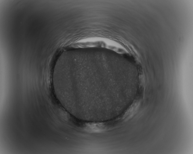 X0000086910517200705141705