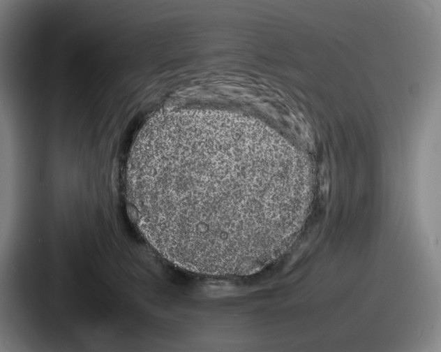 X0000086910519200705141705