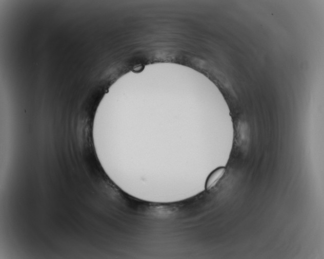 X0000086910522200705141705