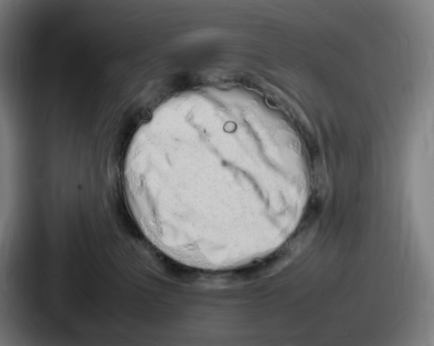 X0000086910523200705141705