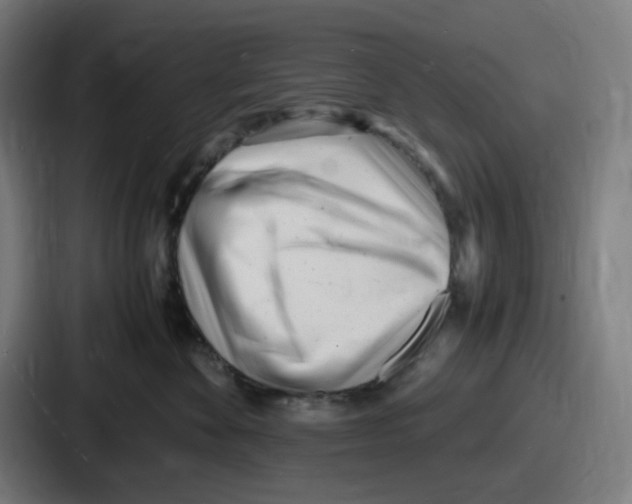 X0000086910524200705141705