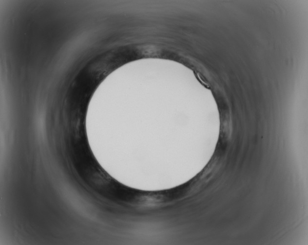 X0000086910525200705141705