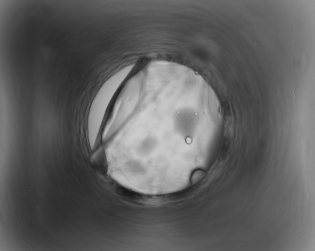 X0000086910527200705141705