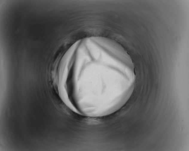 X0000086910528200705141705