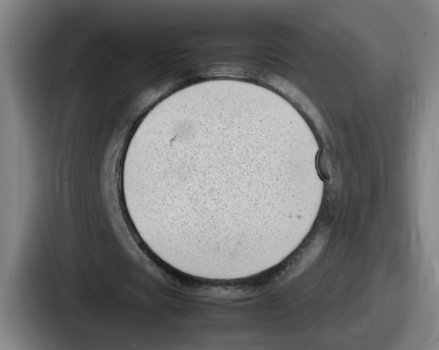 X0000086910529200705141704