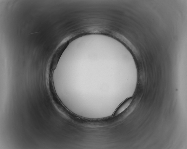 X0000086910530200705141704