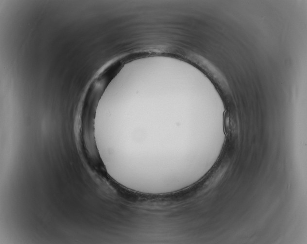 X0000086910532200705141704