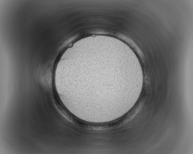 X0000086910533200705141704