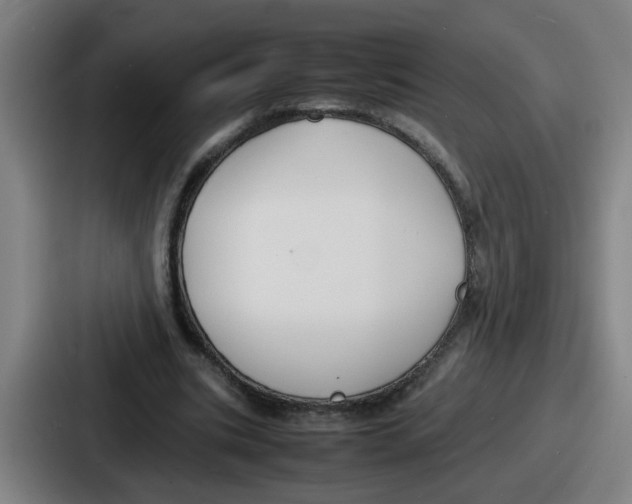 X0000086910535200705141704