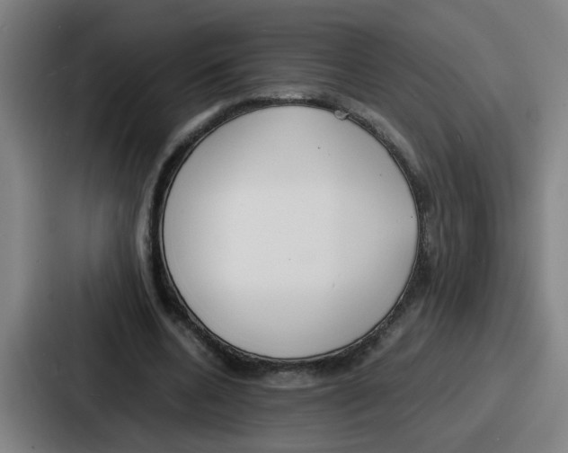 X0000086910536200705141704