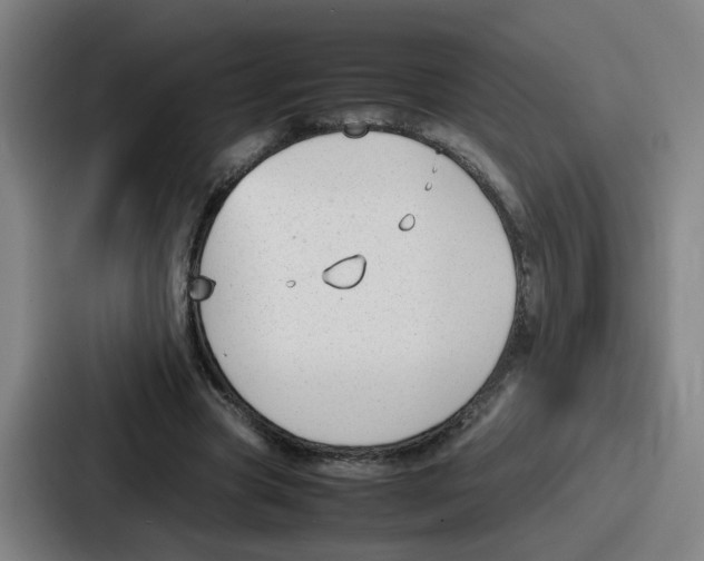 X0000086910537200705141704