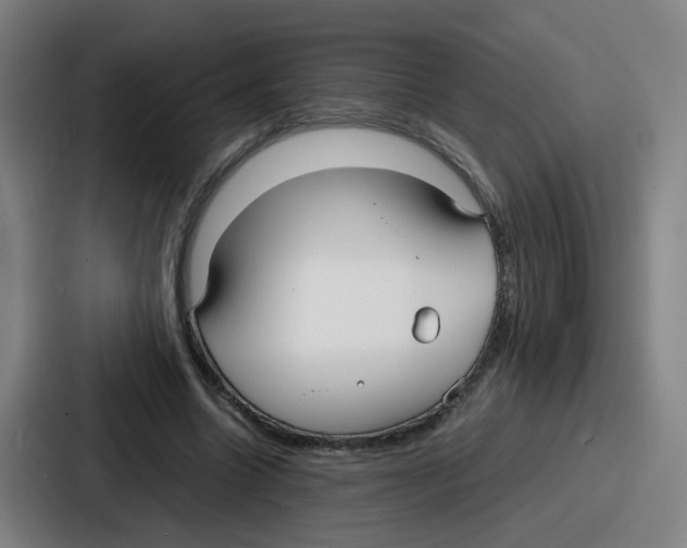 X0000086910538200705141704