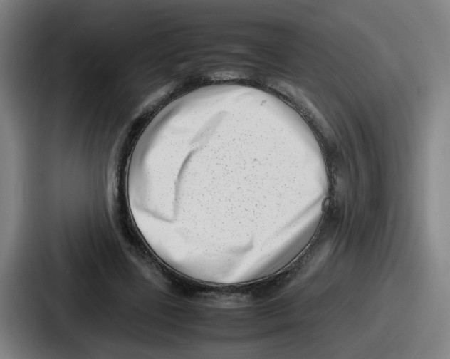 X0000086910539200705141704