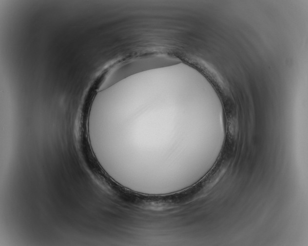 X0000086910540200705141704