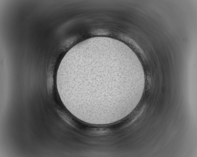 X0000086910541200705141704