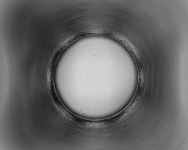 X0000086910542200705141704