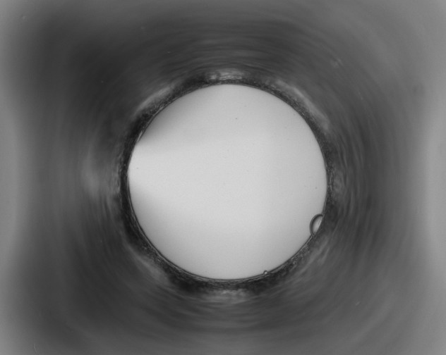 X0000086910543200705141704