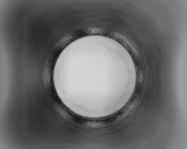 X0000086910545200705141704