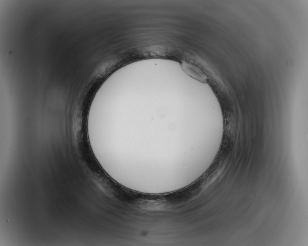 X0000086910548200705141704