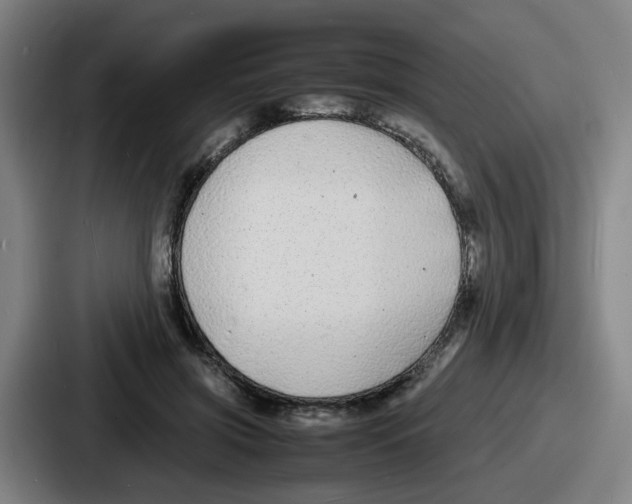 X0000086910549200705141704